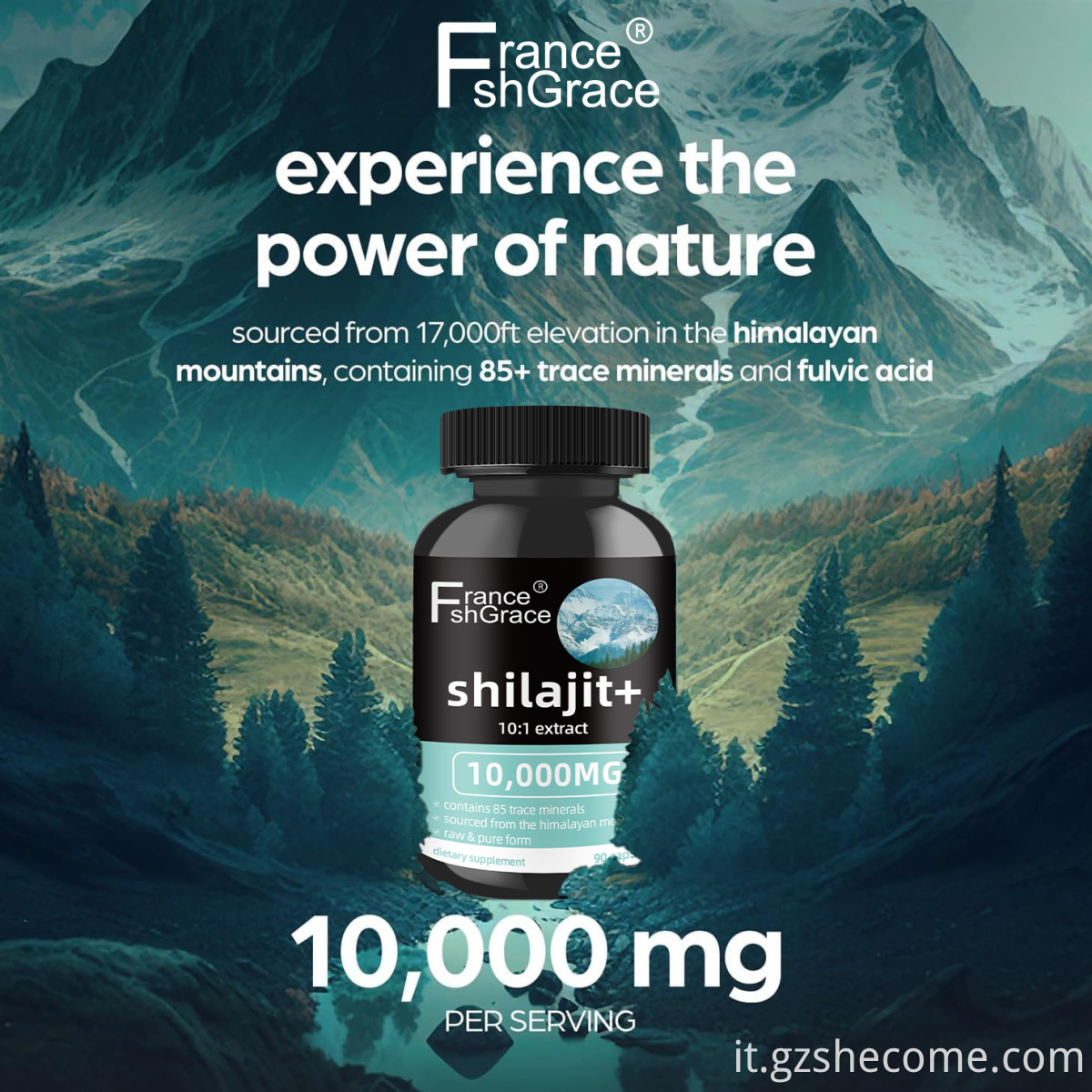Shilajit Capsules2